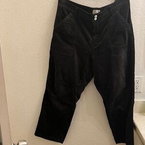 Pilcro corduroy Black slight barrel Pants